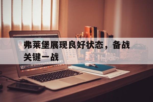弗莱堡展现良好状态，备战关键一战的简单介绍